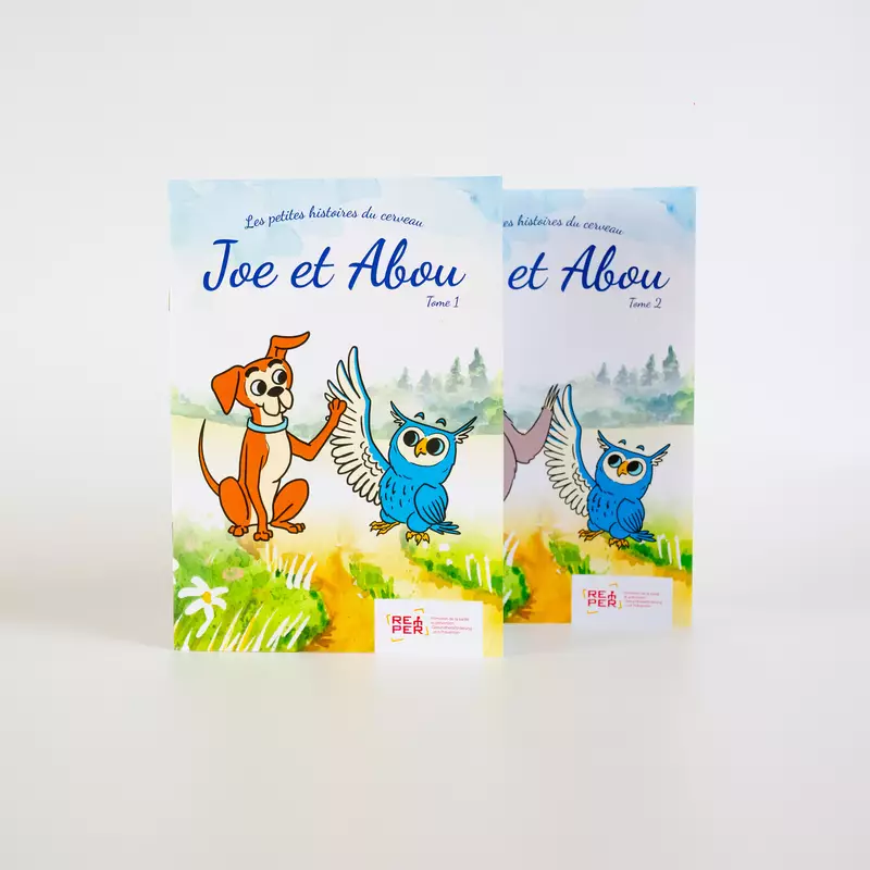 Brochures les petites histoires du cerveau