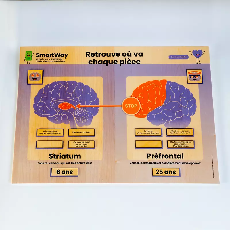 Panneau en bois activité smartway "Cerveau et écrans"